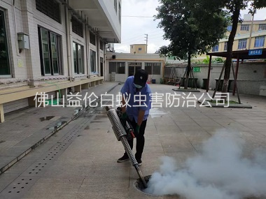 三水区下水道灭蚊虫工程